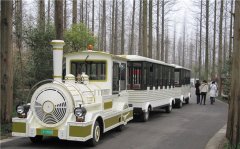 無軌小火車多少錢一輛？掙錢嗎？