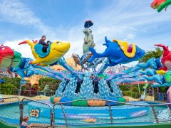 轉馬的異響使客人滿意度不高，如何化解